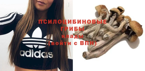 первитин Балахна