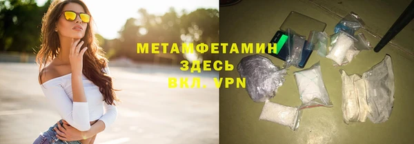 прущие грибы Баксан