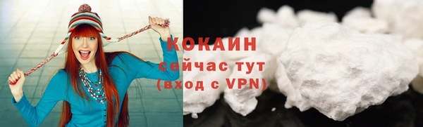 прущие грибы Баксан