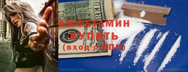 прущие грибы Баксан